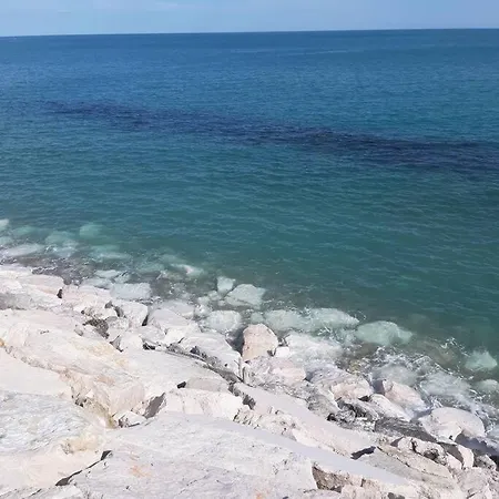 Casa Titti. Intero -