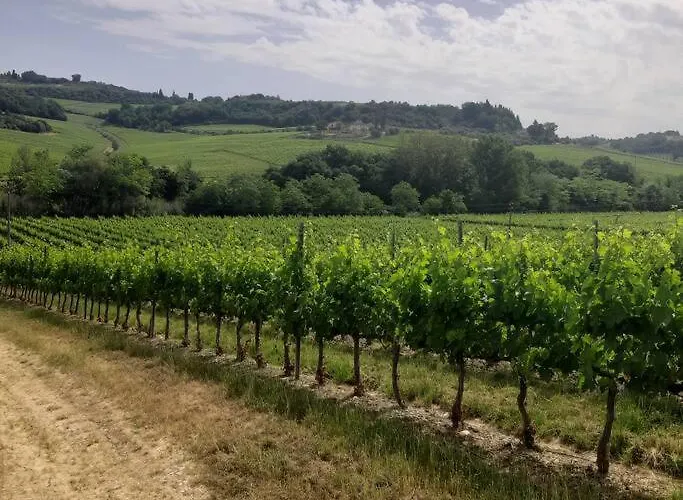 Casa Titti. Intero - * Фоссачезия