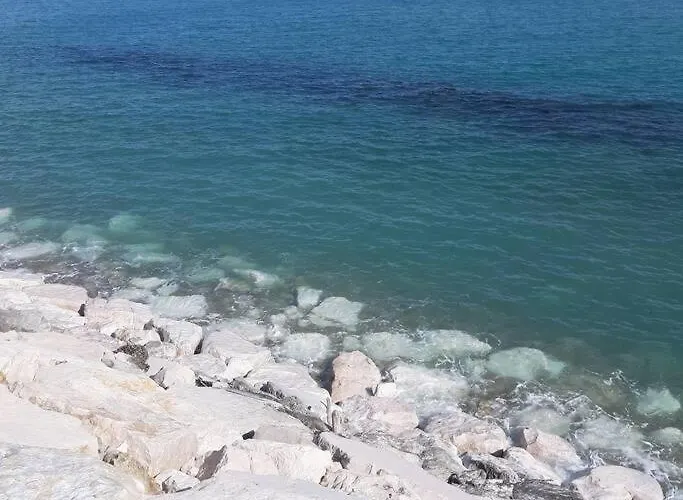 Casa Titti. Intero -